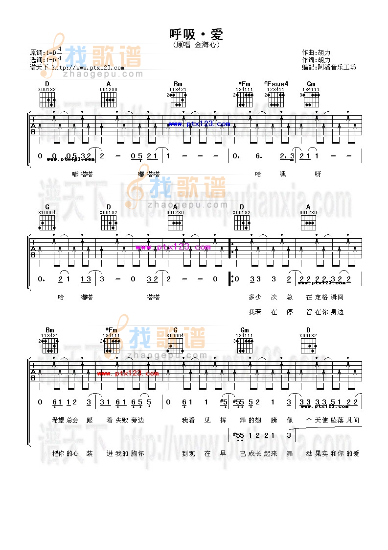 金海心《呼吸·爱》吉他谱D调六线谱(图)1